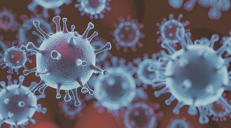 Virus Alert: ICMR warning, has been found in Culex mosquitoes in Asian nation